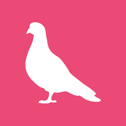 The Pink Pigeon Logo